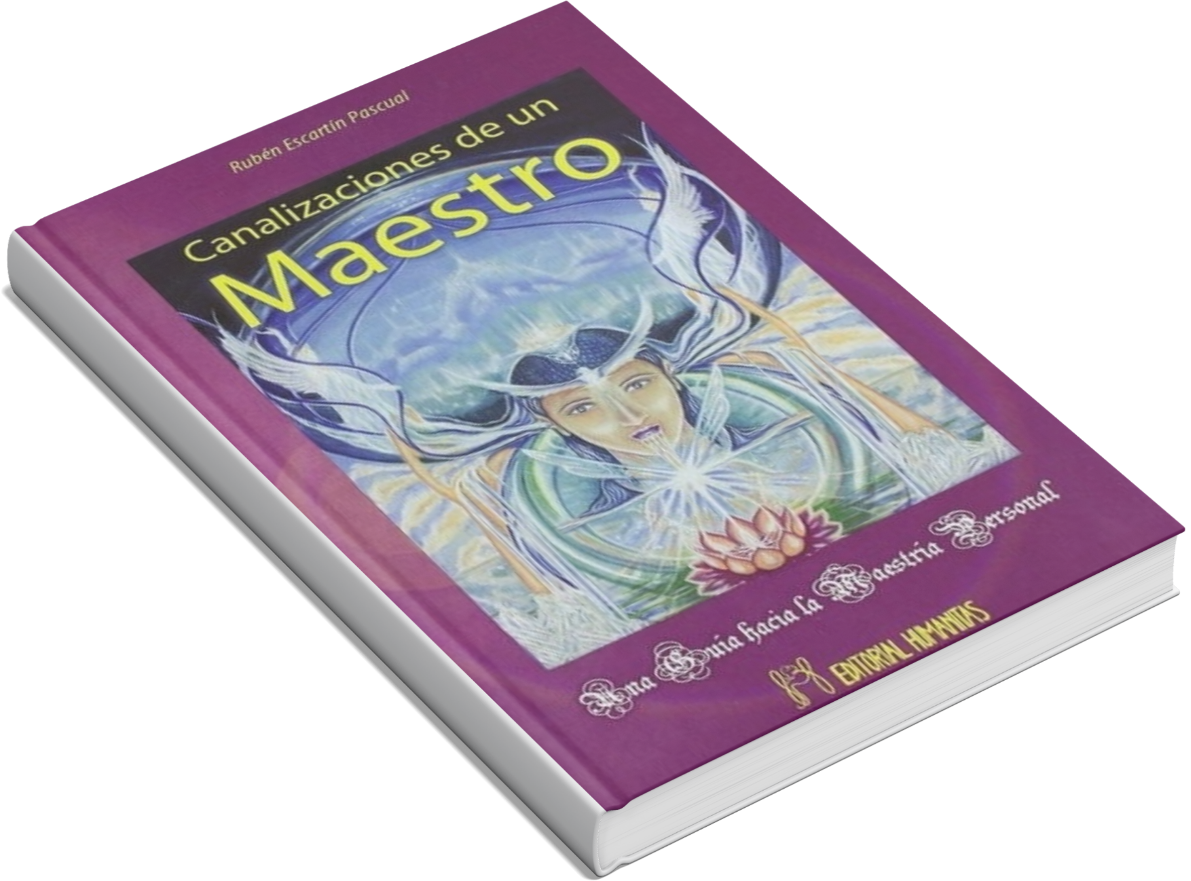 canalizaciones de un maestro mockup